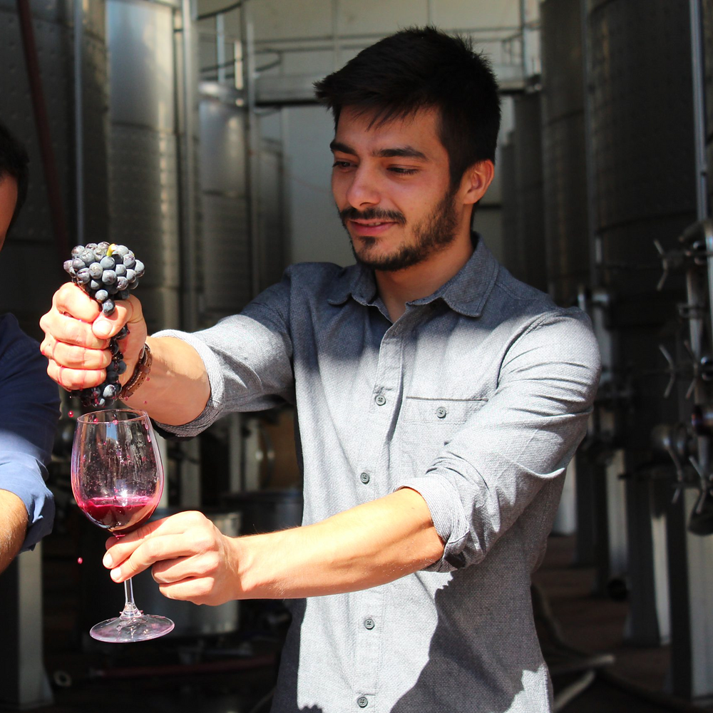Winemaker-Tasting mit Fábio Fernandes – 11.12.2026