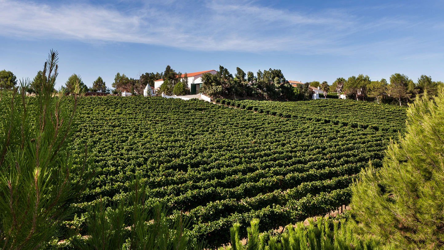 Adega Exclusiva Käse & Wein Tasting 29.05.2026 18:30 Uhr