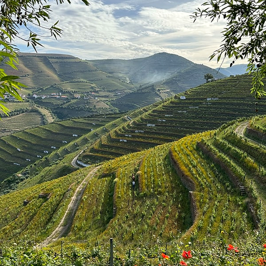 Adega Exclusiva Mix Tasting 18.09.26 um 18:30 Uhr