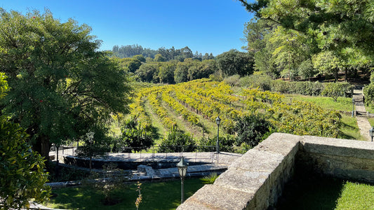 Weintasting Weiß - Rosé Mix am 08.05.2026 um 18.30 Uhr Adega Exclusiva