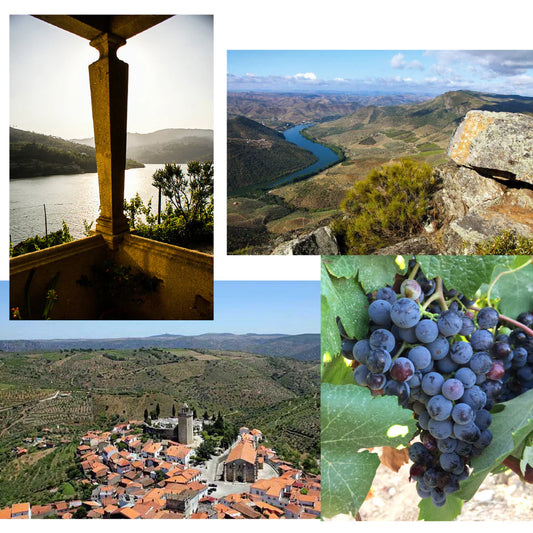 Adega Exclusiva Weinreisen 2026 Tour Nord