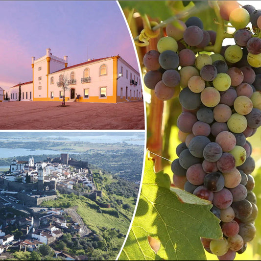 Adega Exclusiva Weinreisen 2026 Tour Süd