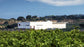Wein - Stammtisch  am 17.07.2026