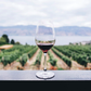Adega Exclusiva Alentejo Mix Tasting 09.10.26 um 18:30 Uhr